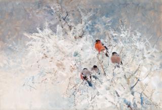 Mosse Stoopendaal - Bullfinches