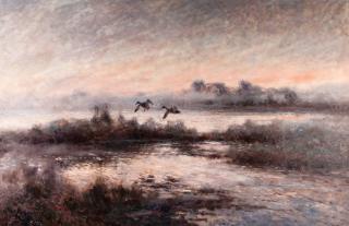 Mosse Stoopendaal - Ducks In Flight.