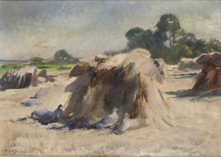 Mosse Stoopendaal - \