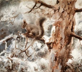 Mosse Stoopendaal - \