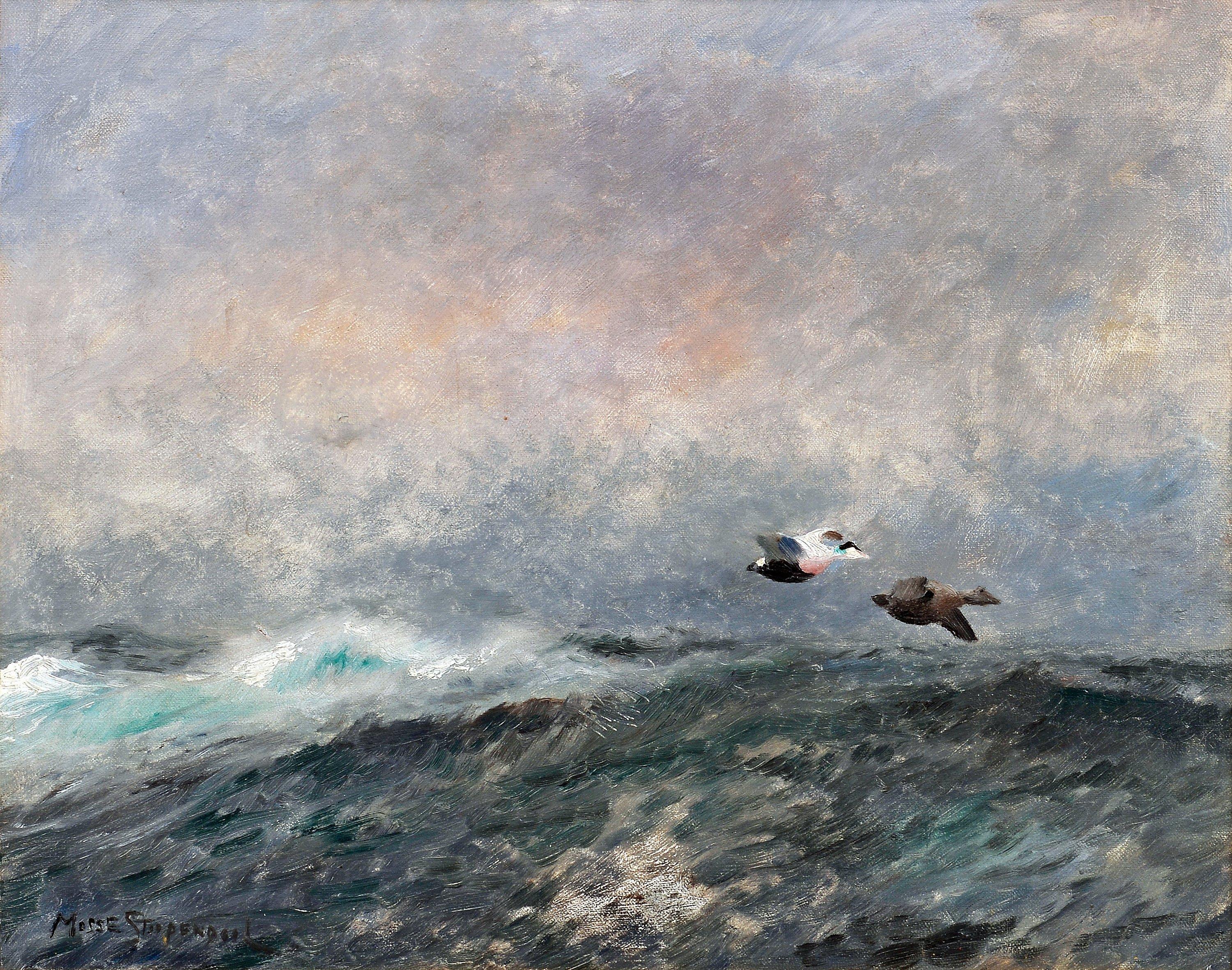 Mosse Stoopendaal - Flying Eiders.