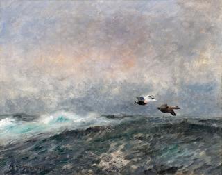 Mosse Stoopendaal - Flying Eiders.