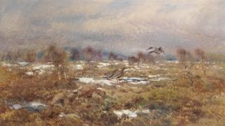 Mosse Stoopendaal - Geese in a snowy landscape