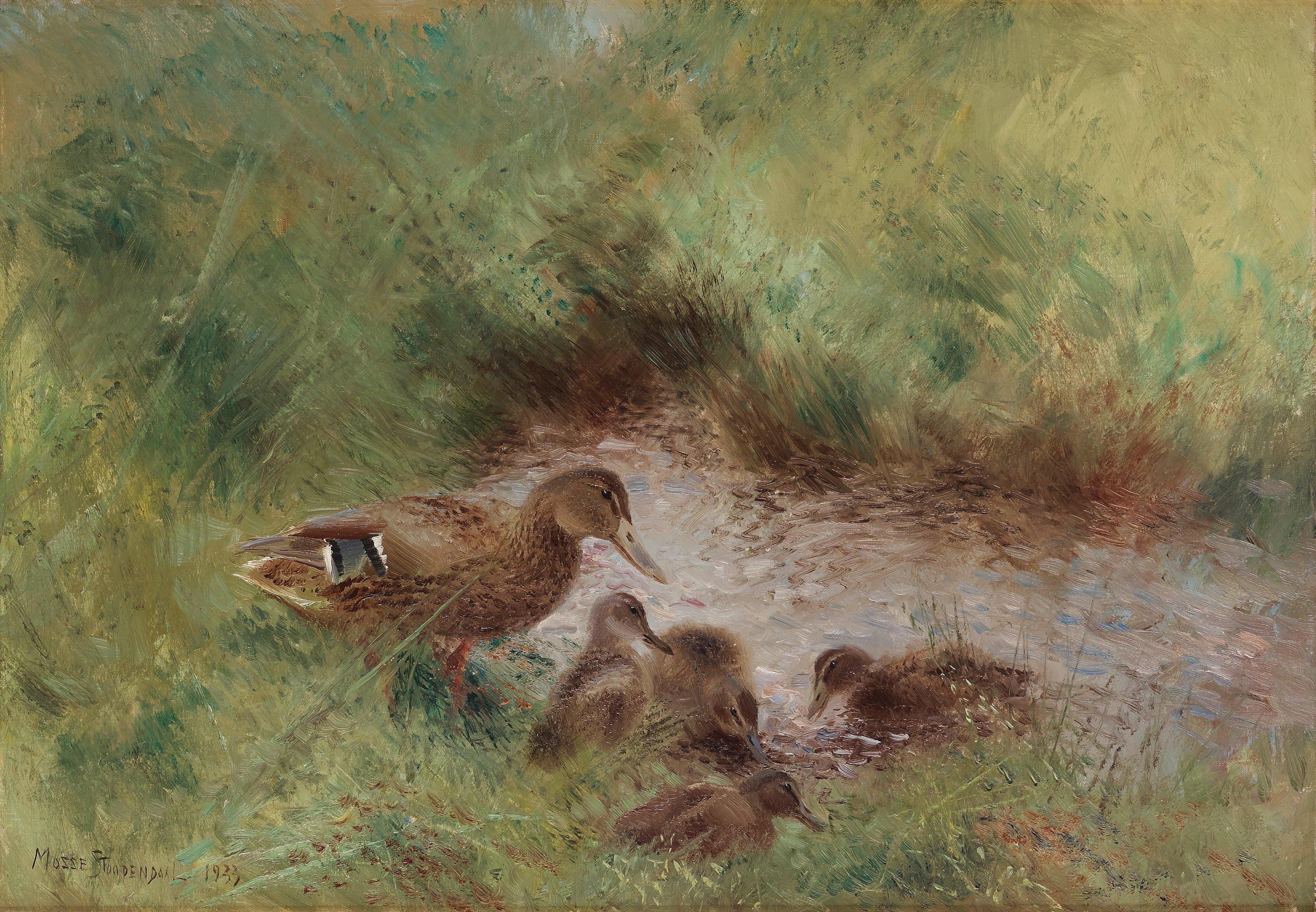 Mosse Stoopendaal - Mallard with ducklings