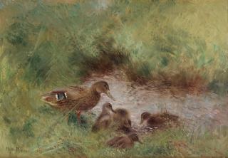 Mosse Stoopendaal - Mallard with ducklings