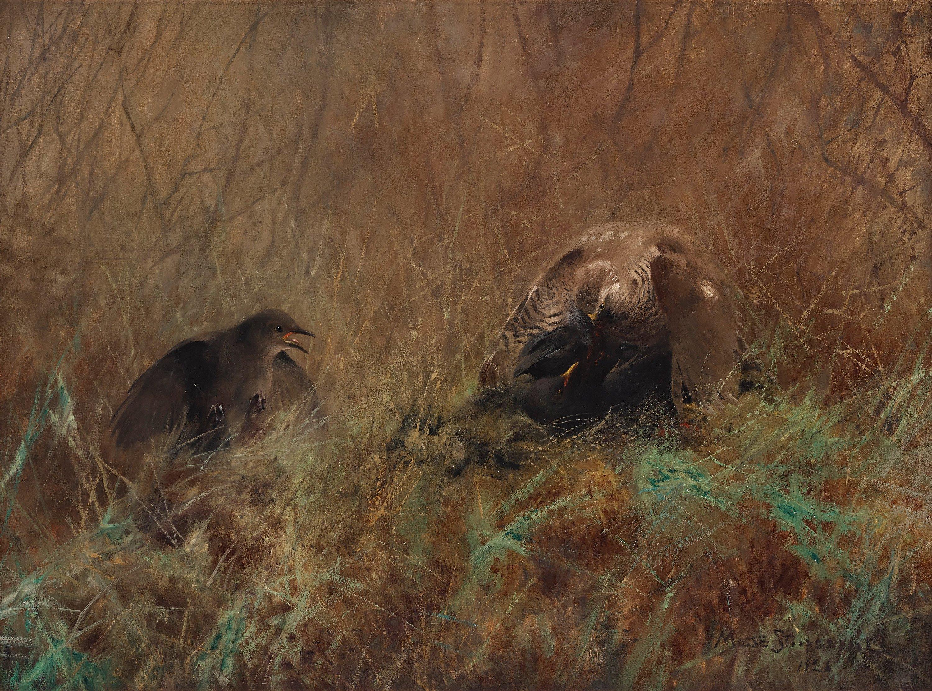 Mosse Stoopendaal - \