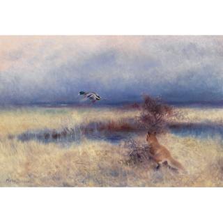 Mosse Stoopendaal - Swedish räv Jagandes And (Fox Chasing A Duck)