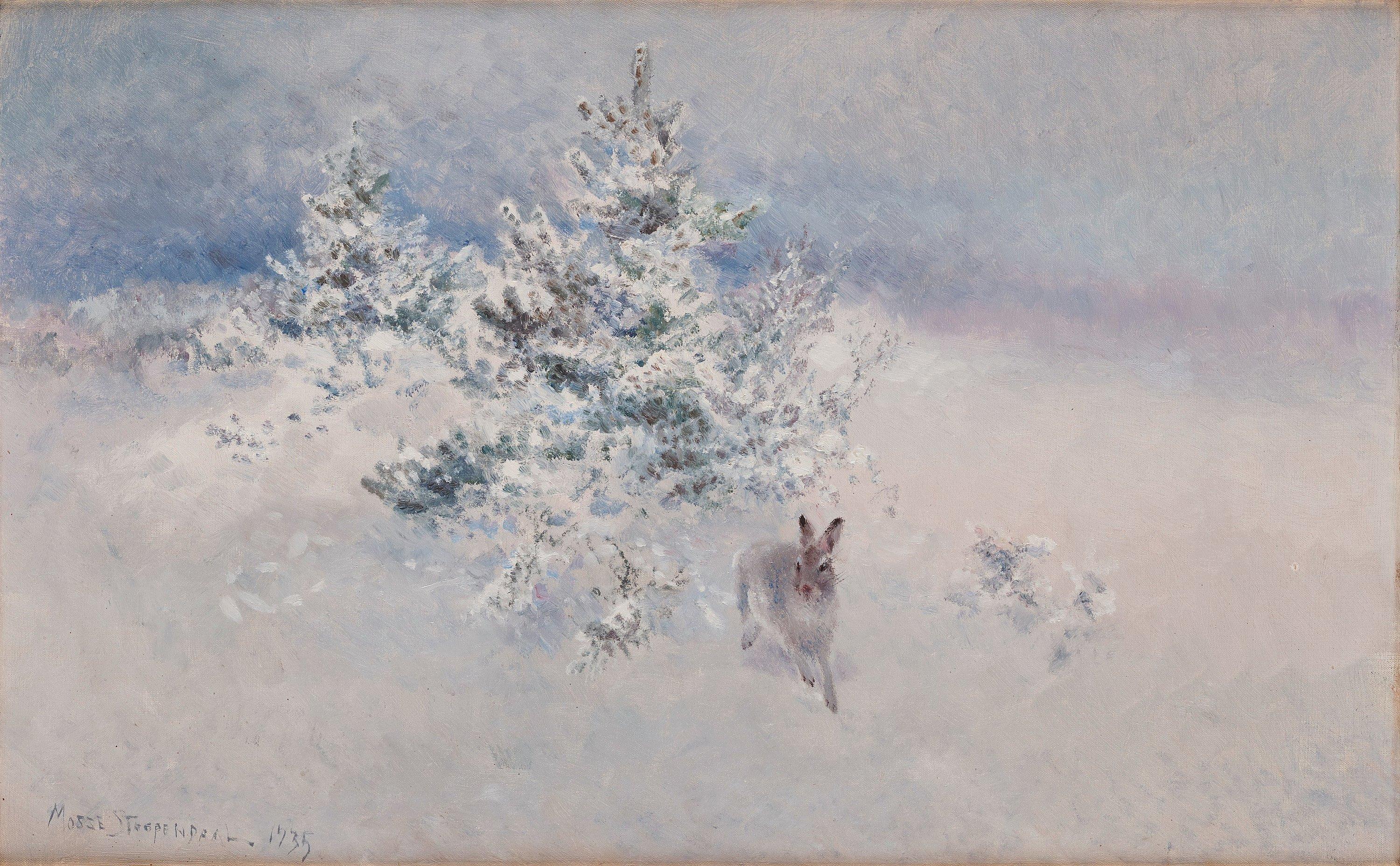 Mosse Stoopendaal - \