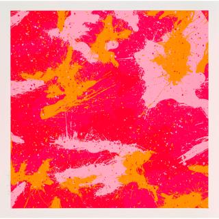 Mr. Brainwash - CamoSplash