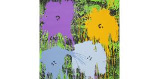 Mr. Brainwash - Flowarh$ - II (A)