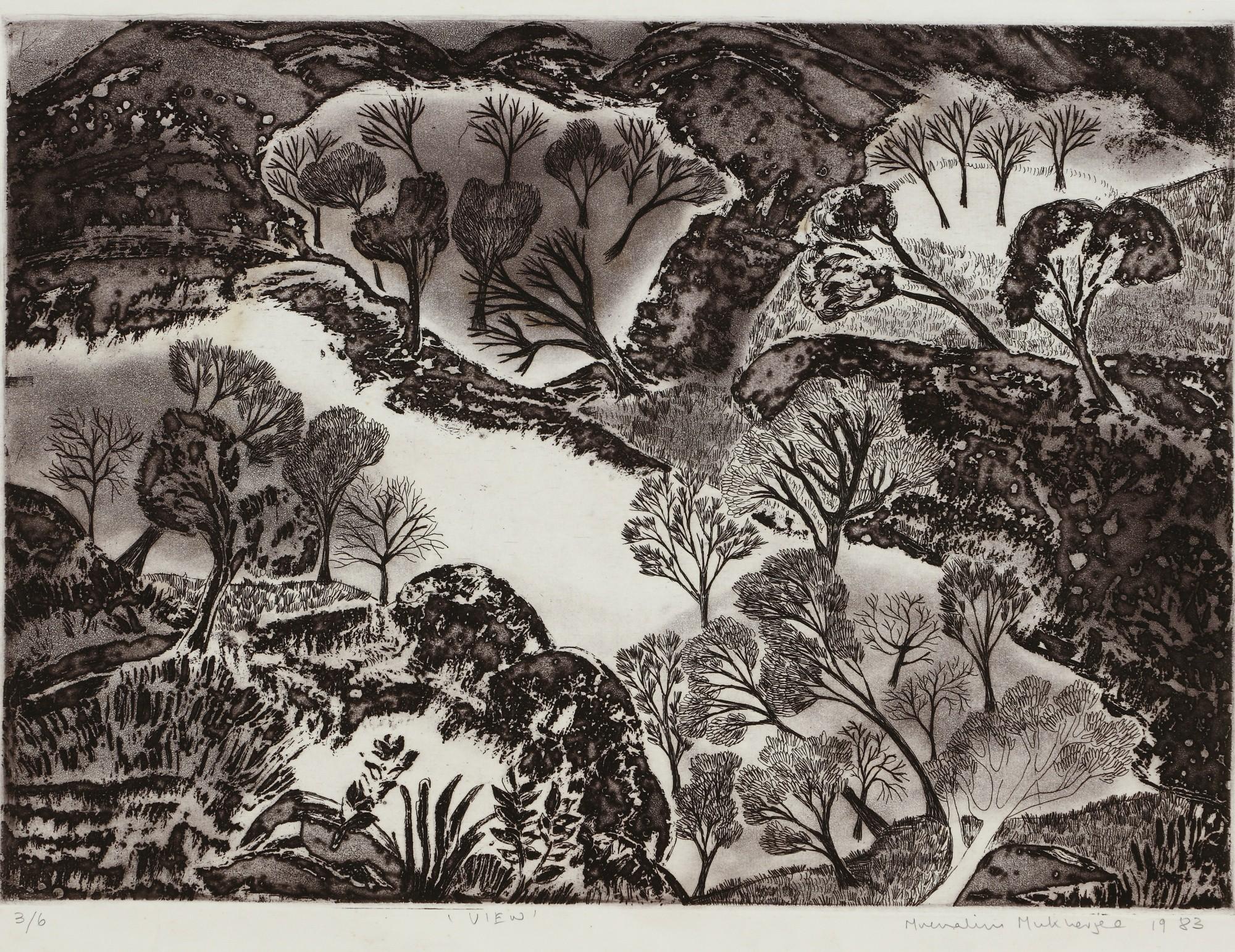 Mrinalini Mukherjee - View