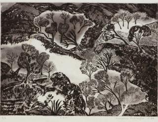 Mrinalini Mukherjee - View