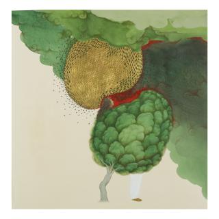 Mudassar Manzoor - Untitled