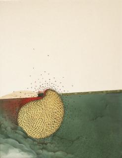 Mudassar Manzoor - Untitled