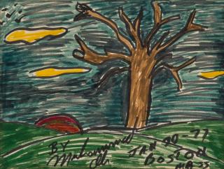 Muhammad Ali - Sunset with Tree of Life, 1977