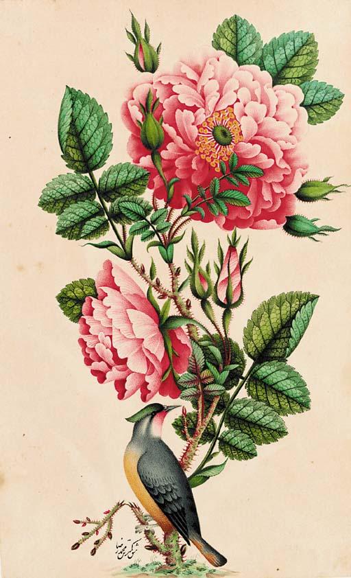 Muhammad Reza - Gul-i bulbul