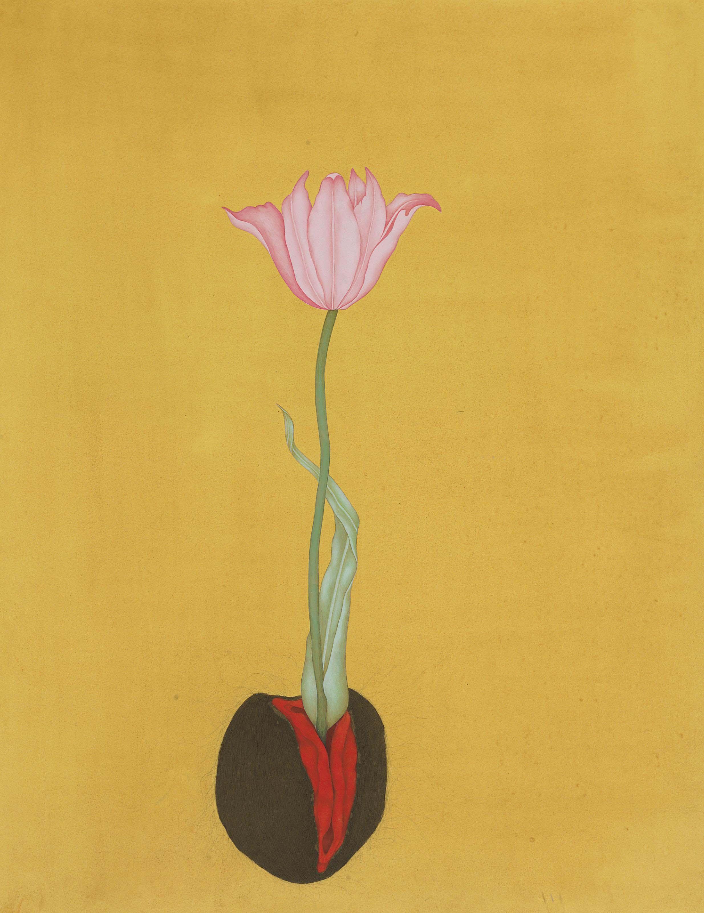 Muhammad Zeeshan - Untitled