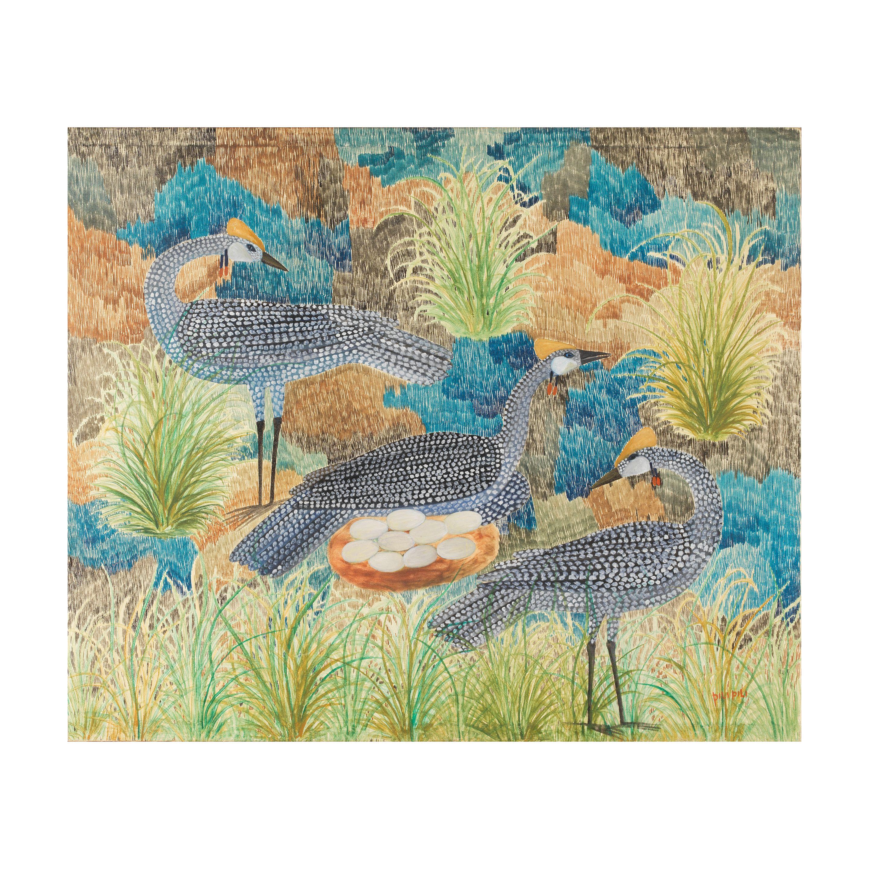 Mulongoy Pili Pili - Oiseaux protégeant le nid