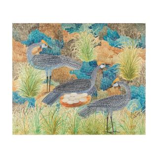 Mulongoy Pili Pili - Oiseaux protégeant le nid