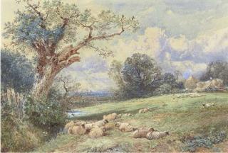 Myles Birket Foster, R.W.S. - Sheep Resting Beneath A Tree, With Harvesters Beyond