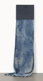 N. Dash - Healer (910)