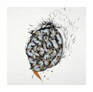 N.S. Harsha - Eclips