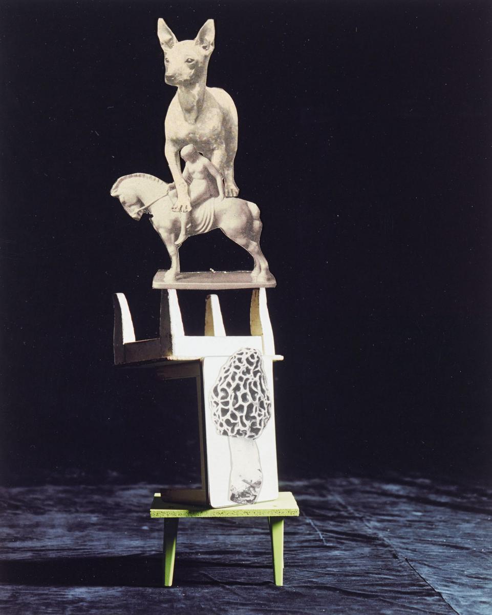 Nadin Maria Rüfenacht - \