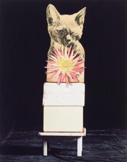 Nadin Maria Rüfenacht - \