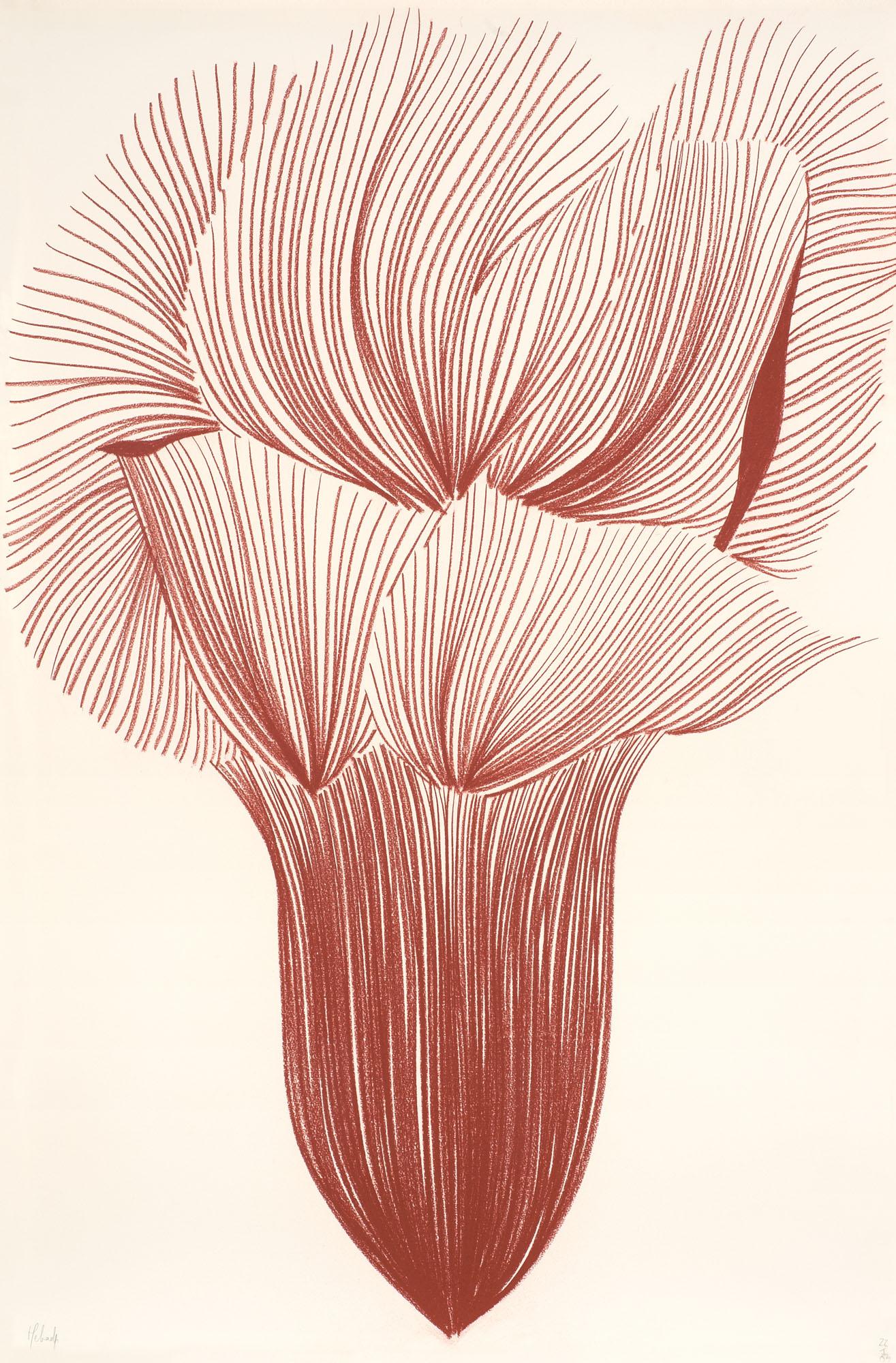 Najia Mehadji - Fleur de grenade