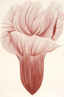 Najia Mehadji - Fleur de grenade