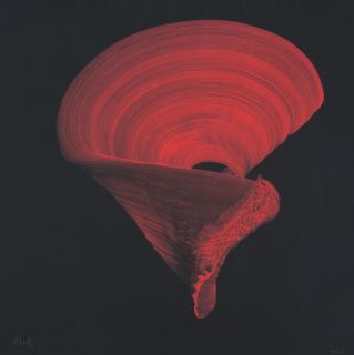 Najia Mehadji - Mystic Dance (Rouge sur noir)