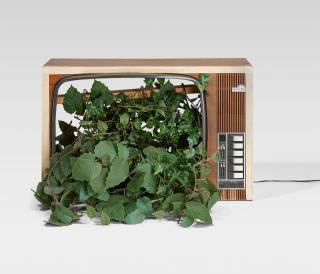 Nam June Paik - Ohne Titel