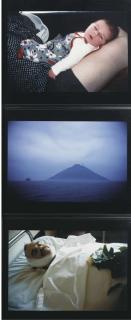 Nan Goldin - Alf and Fritz, Volcano