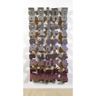 Nancy Dwyer - Aging Punks