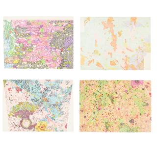 Nancy Graves - 4 plates, from Lithographs Based on Geological Maps of Lunar Orbits & Apollo Landing Sites