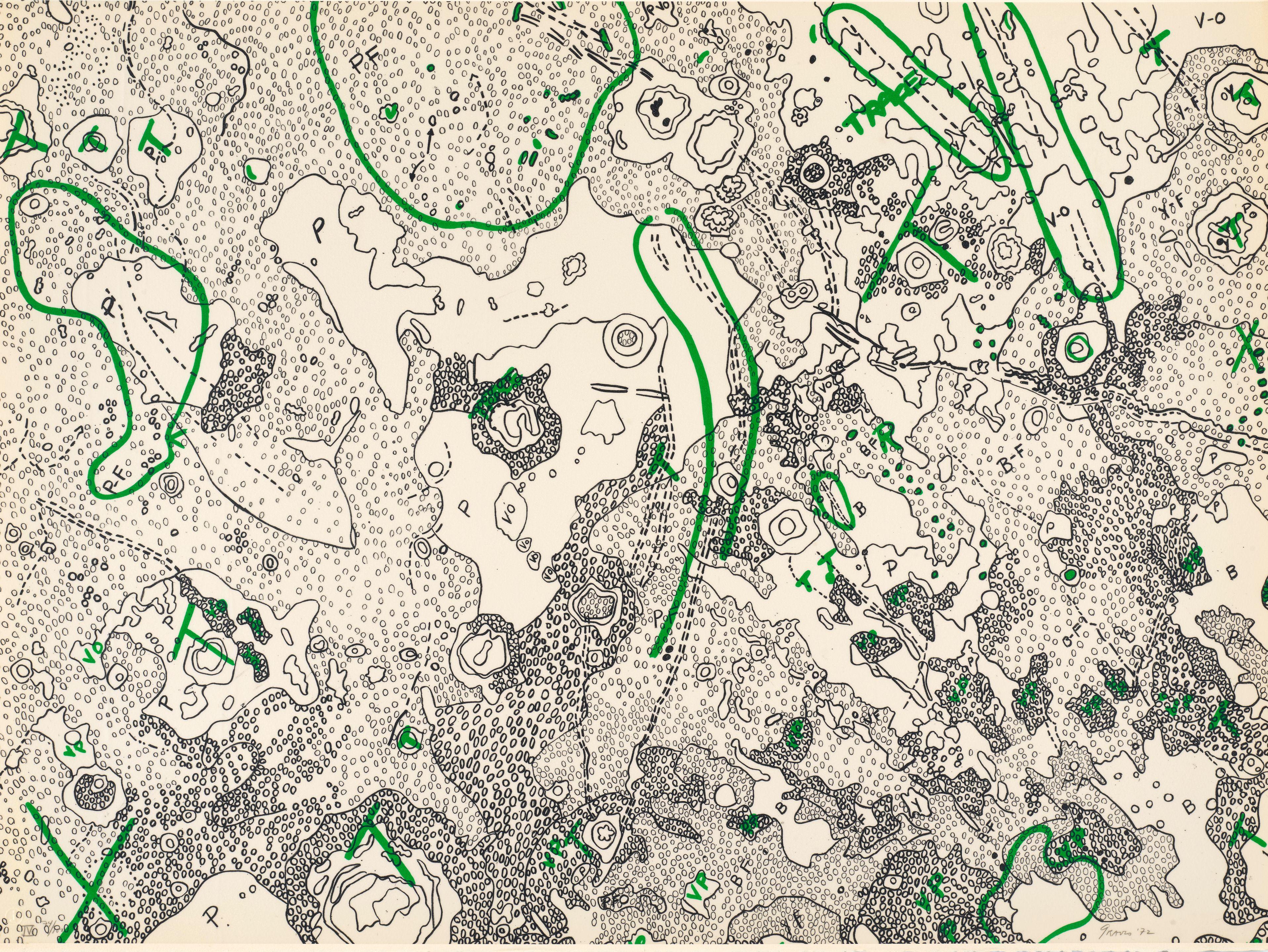 Nancy Graves - IV. Julius Caesar Quadrangle of the Moon