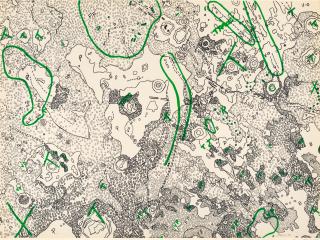 Nancy Graves - IV. Julius Caesar Quadrangle of the Moon