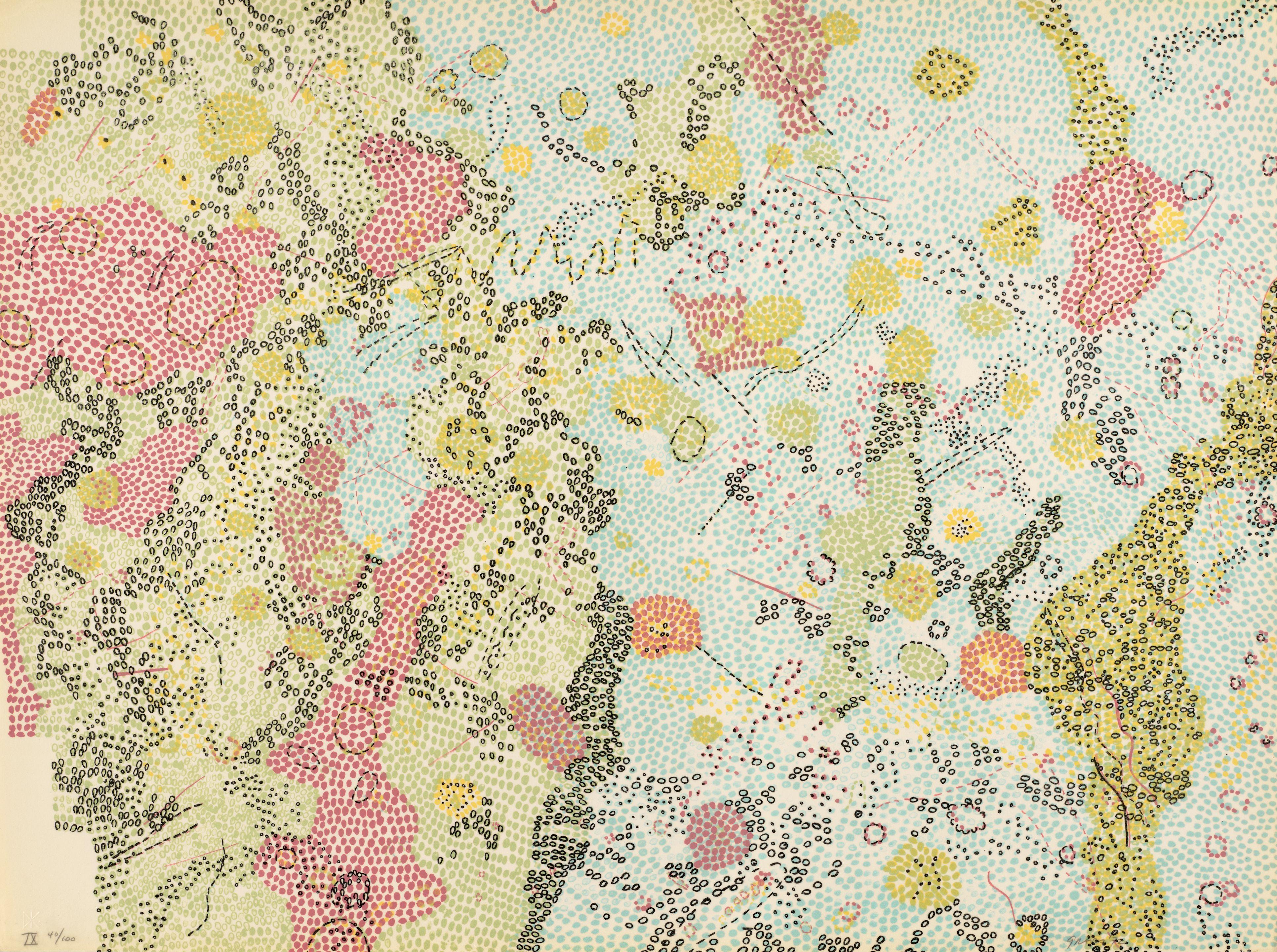 Nancy Graves - IX. Sabine DM Region of the Moon