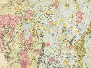 Nancy Graves - IX. Sabine DM Region of the Moon