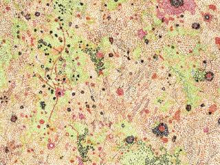 Nancy Graves - Lithographs Based on Geologic Maps of Lunar Orbiter and Apollo Landing Sites: Eight Plates