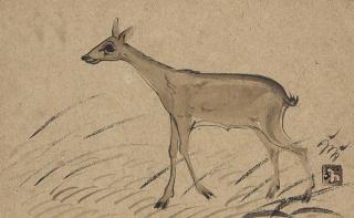 Nandalal Bose - Untitled (Deer)