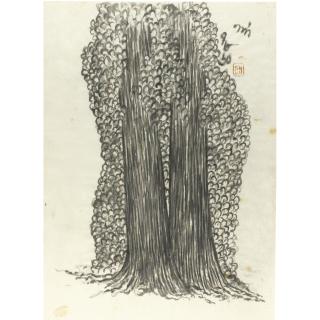 Nandalal Bose - Untitled (Two Shal Trees)
