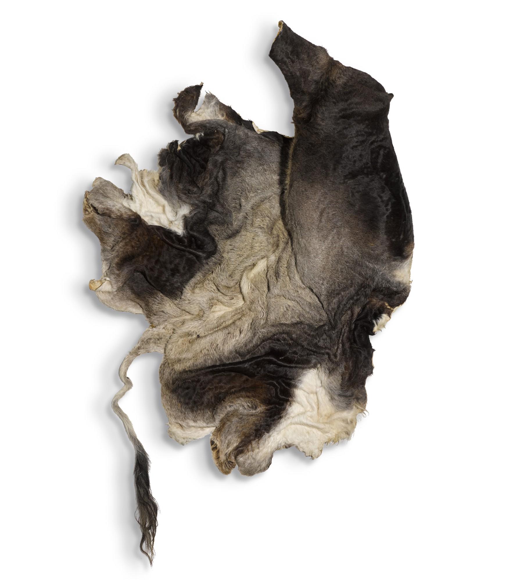 Nandipha Mntambo - Lujuille