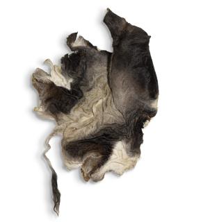 Nandipha Mntambo - Lujuille