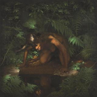 Nandipha Mntambo - Narcissus, 2009