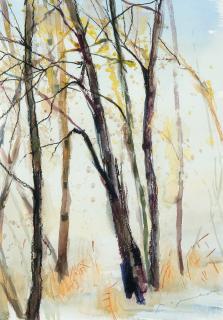 Nandor Mikola - Birches.