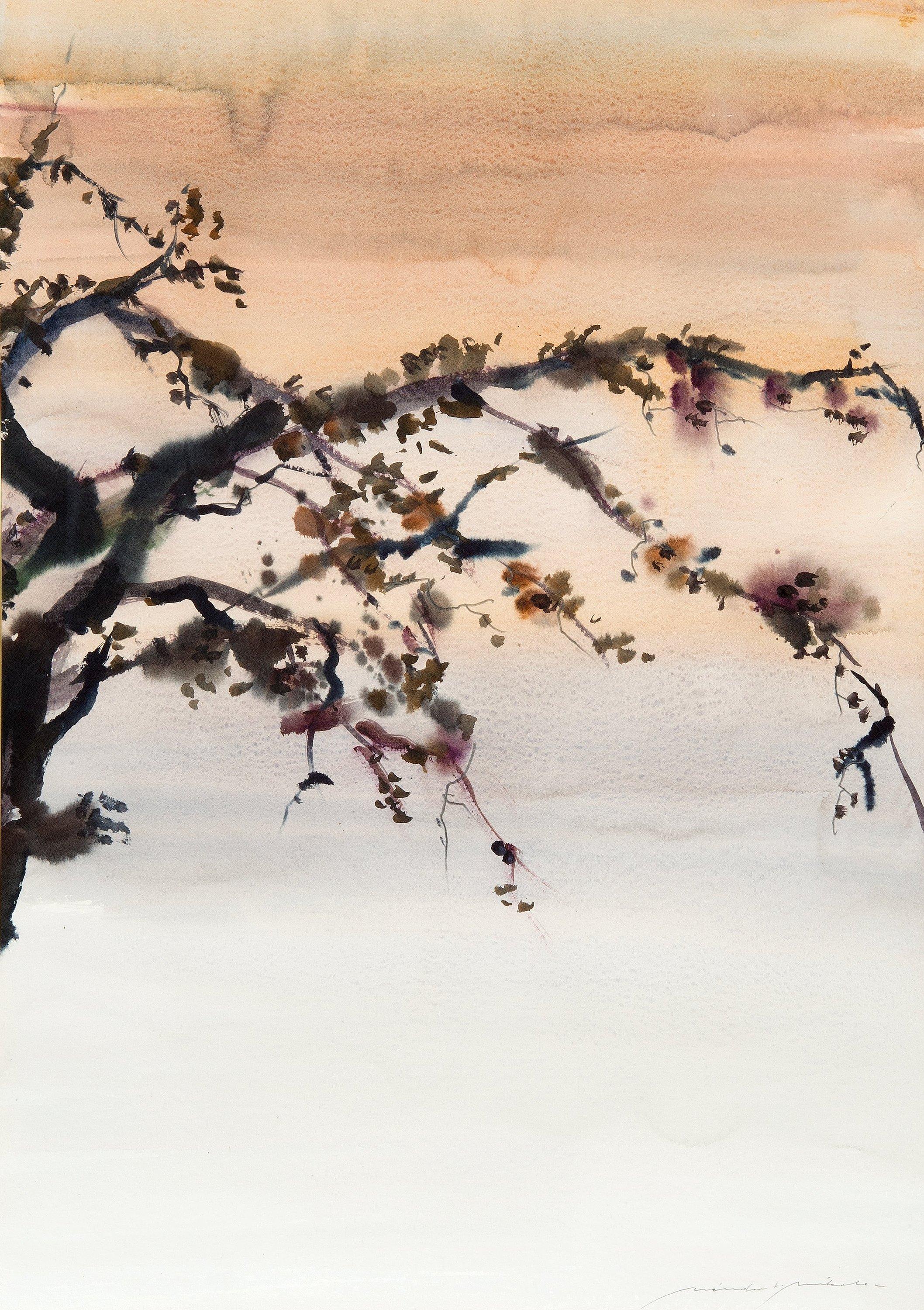 Nandor Mikola - Branch.