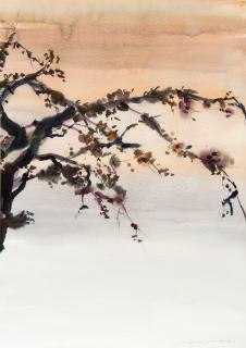 Nandor Mikola - Branch.