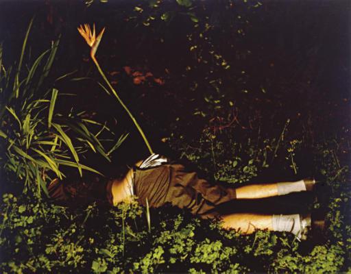 Naomi Fisher - Bird of Paradise