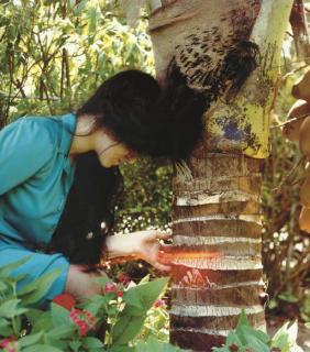 Naomi Fisher - Black Hair Sewn Into Coconut Palm, From Vulnerable Points, 1996